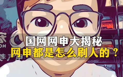 国网网申大揭秘,网申都是怎么刷人的?哔哩哔哩bilibili