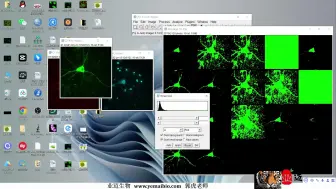 Tải video: 如何用imagej测量荧光强度