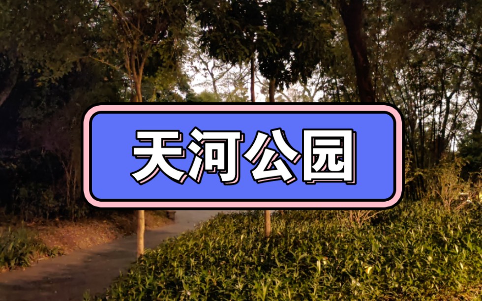 天河公园的春天夜晚.听取蛙声一片哔哩哔哩bilibili