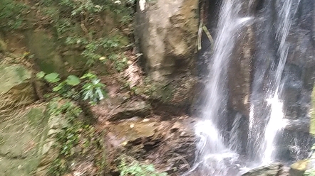 [图]凤凰山有没有人管一下，这垃圾影响到我拍视频了