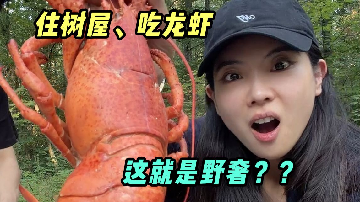 原来这就叫“野奢”？在森林里住木屋吃龙虾海报