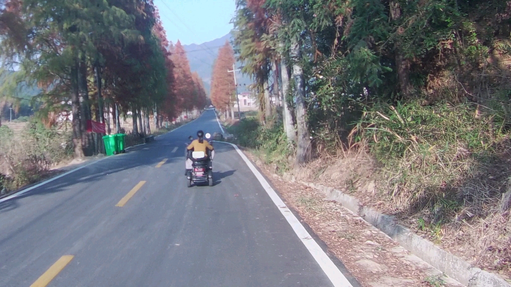 26.摩旅江西,靖安县官庄镇石境村去往双溪村,秋色宜人哔哩哔哩bilibili