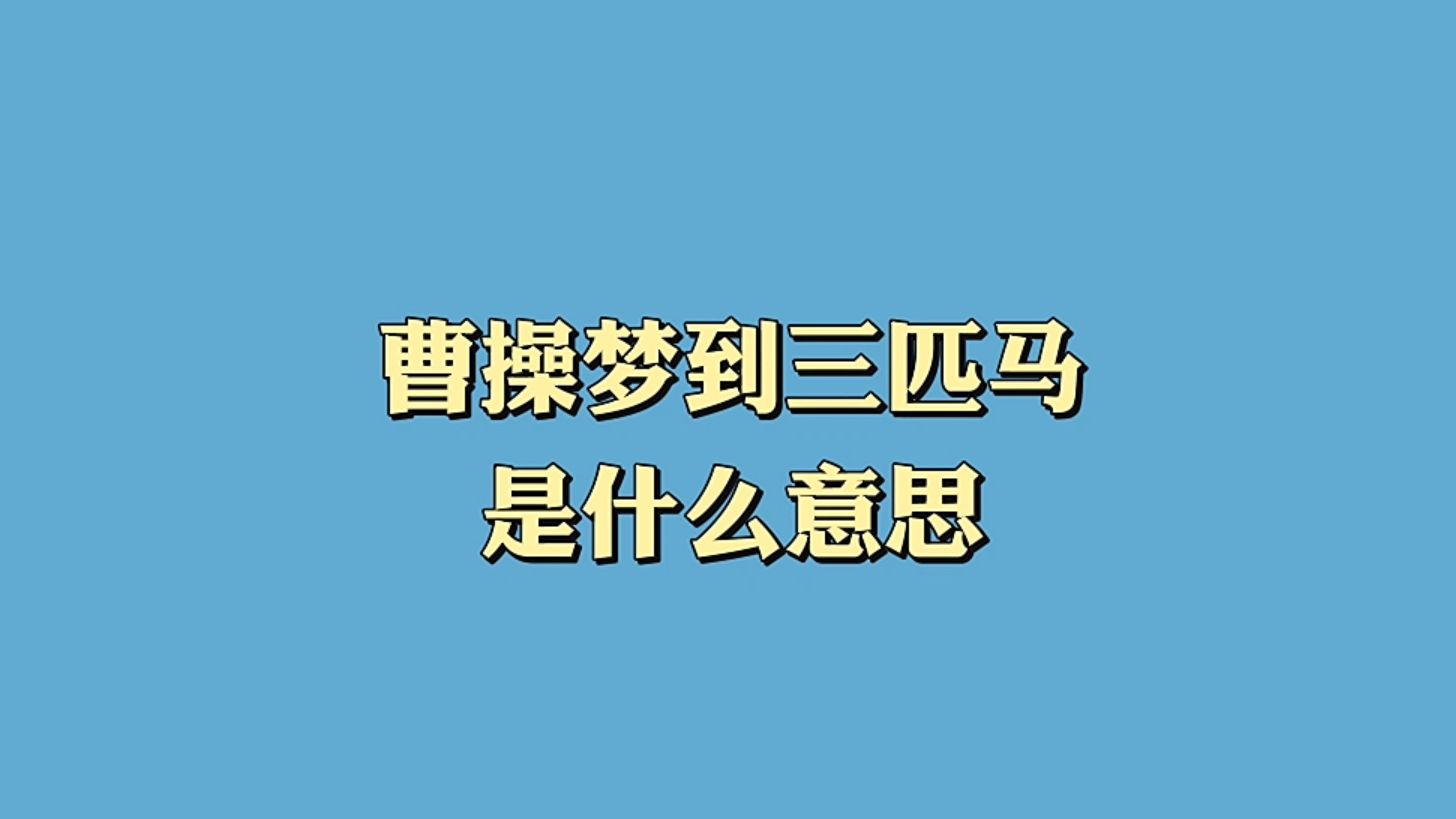 曹操梦到三匹马,是什么意思?哔哩哔哩bilibili