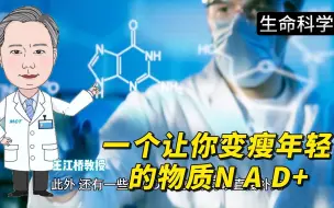 Download Video: 一个让你变瘦年轻的物质，N A D+