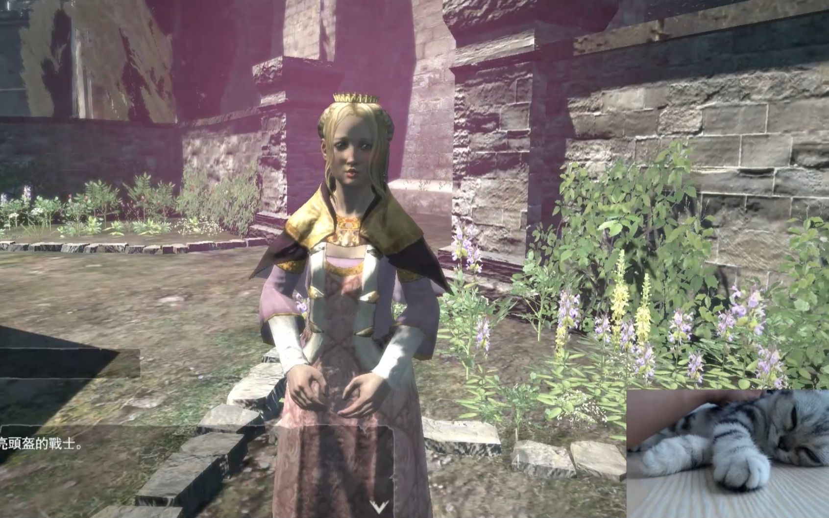 (龙之信条)攻略 进王宫王妃是收废品的