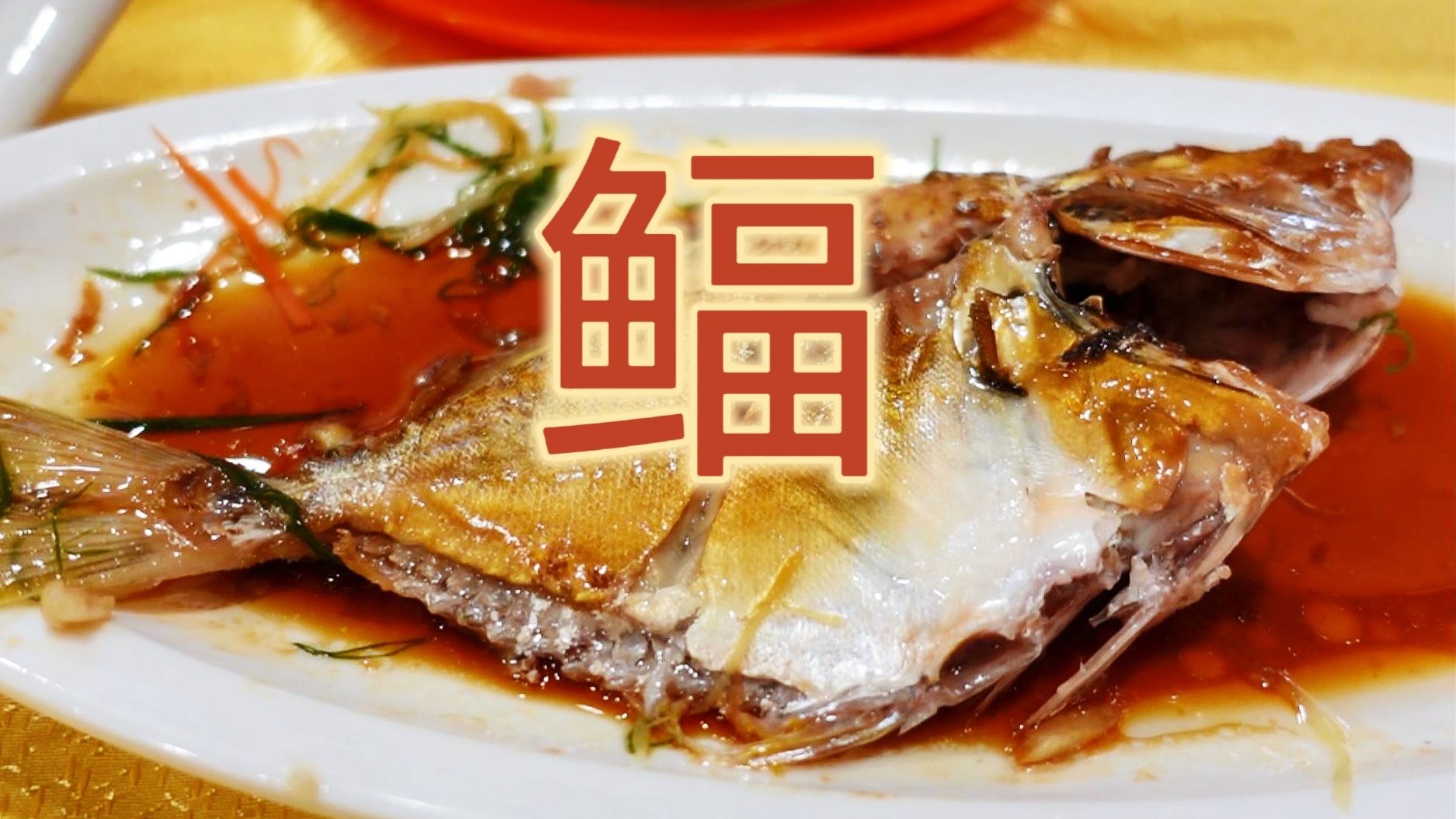 北海40年海鲜老店，海鱼品种繁多，3人消费260元-无所尉吃什么-无所尉吃什么-哔哩哔哩视频