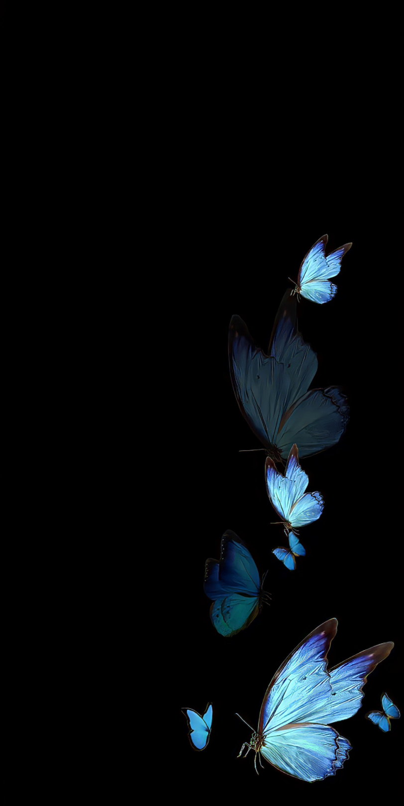 背景 壁纸 皮肤 星空 宇宙 桌面 812_1620 竖版 竖屏 手机