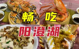 Download Video: 【吃遍苏州】阳澄湖的水产是真的太优秀啦～永璞的椰子闪萃也太好喝了！