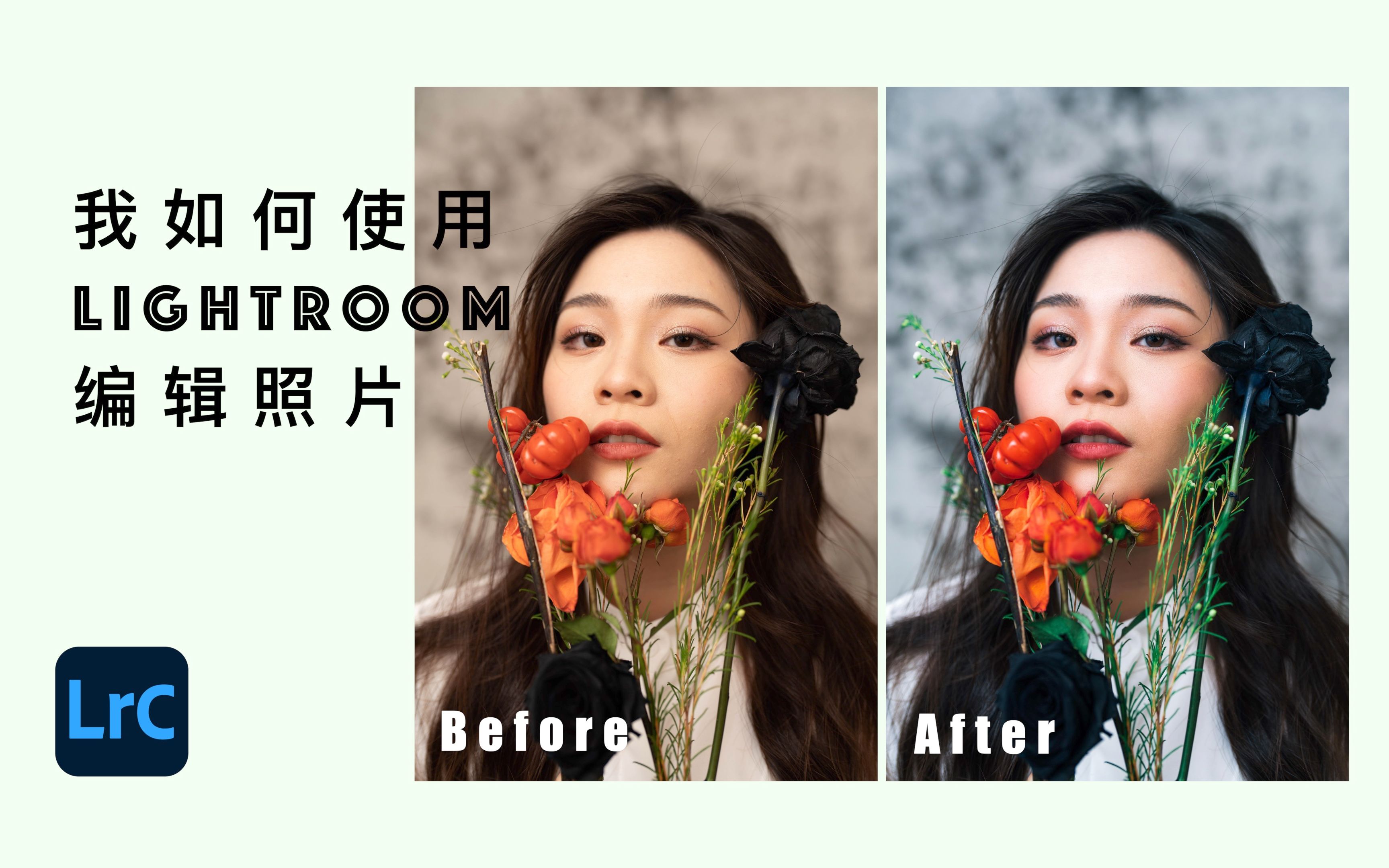 adobelightroomclassic基础修图教程认识和使用lightroom的照片编辑