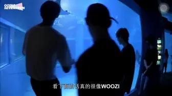 【SEVENTEEN】 在水族馆被文俊辉JUN发现的李知勋WOOZI