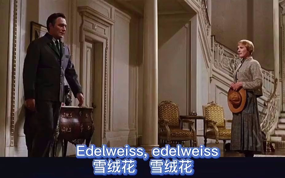 [图]小水滴宝箱-《雪绒花》（Edelweiss）美国电影和音乐剧《音乐之声》著名歌曲(超清)