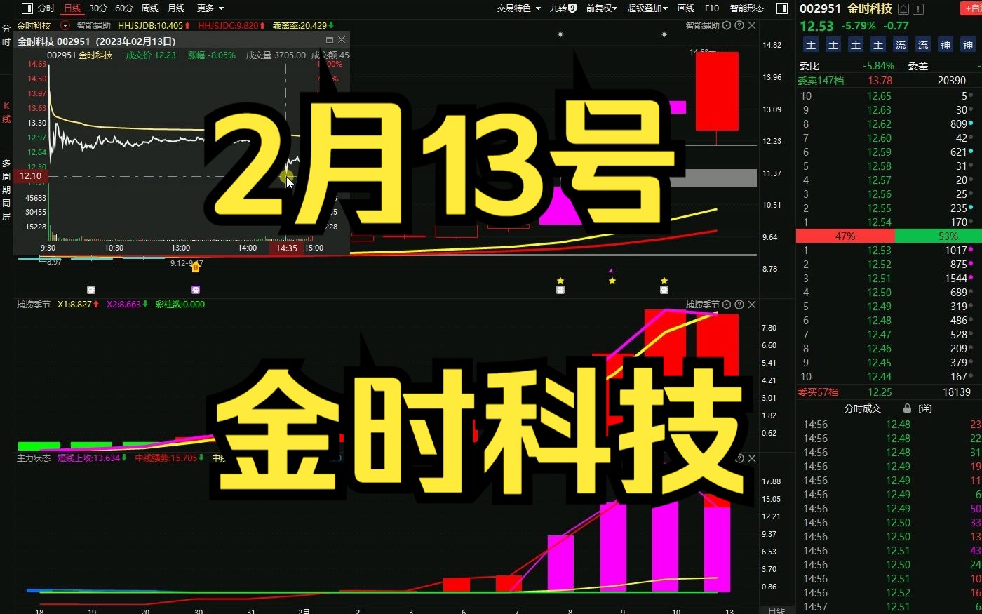 2月13号金时科技:高开低走,最新主力动向,后市如何?哔哩哔哩bilibili