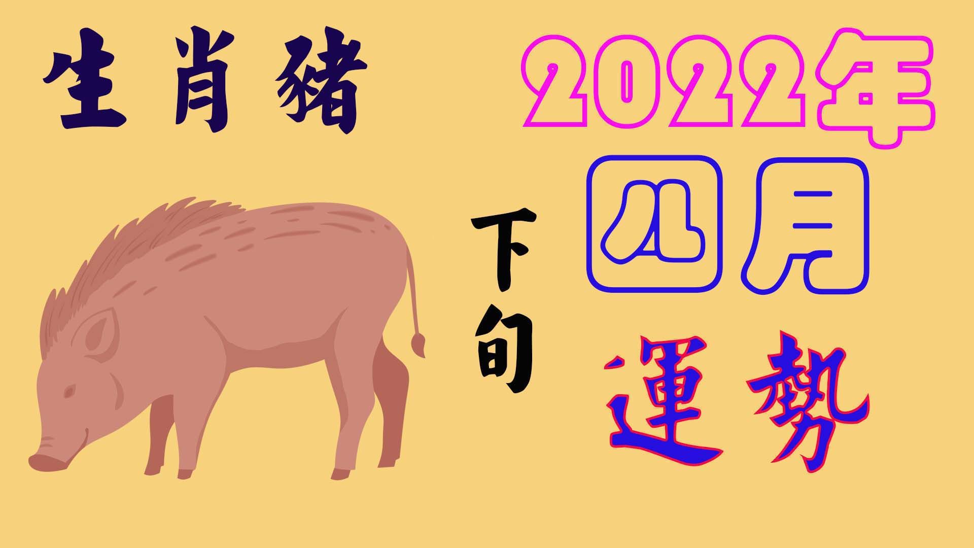 生肖运势详细解说视频下载(讲解生肖运势)