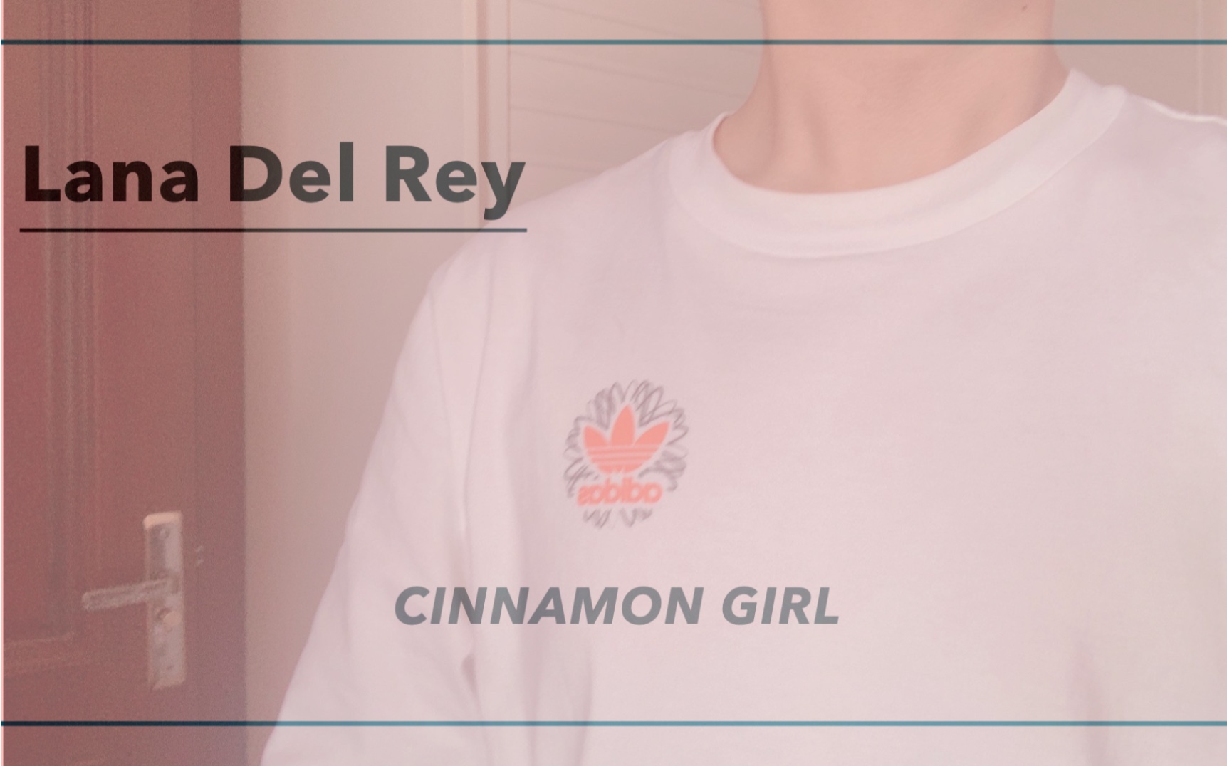 lanadelrey温柔男声翻唱打雷的cinnamongirl肉桂女孩片段翻唱