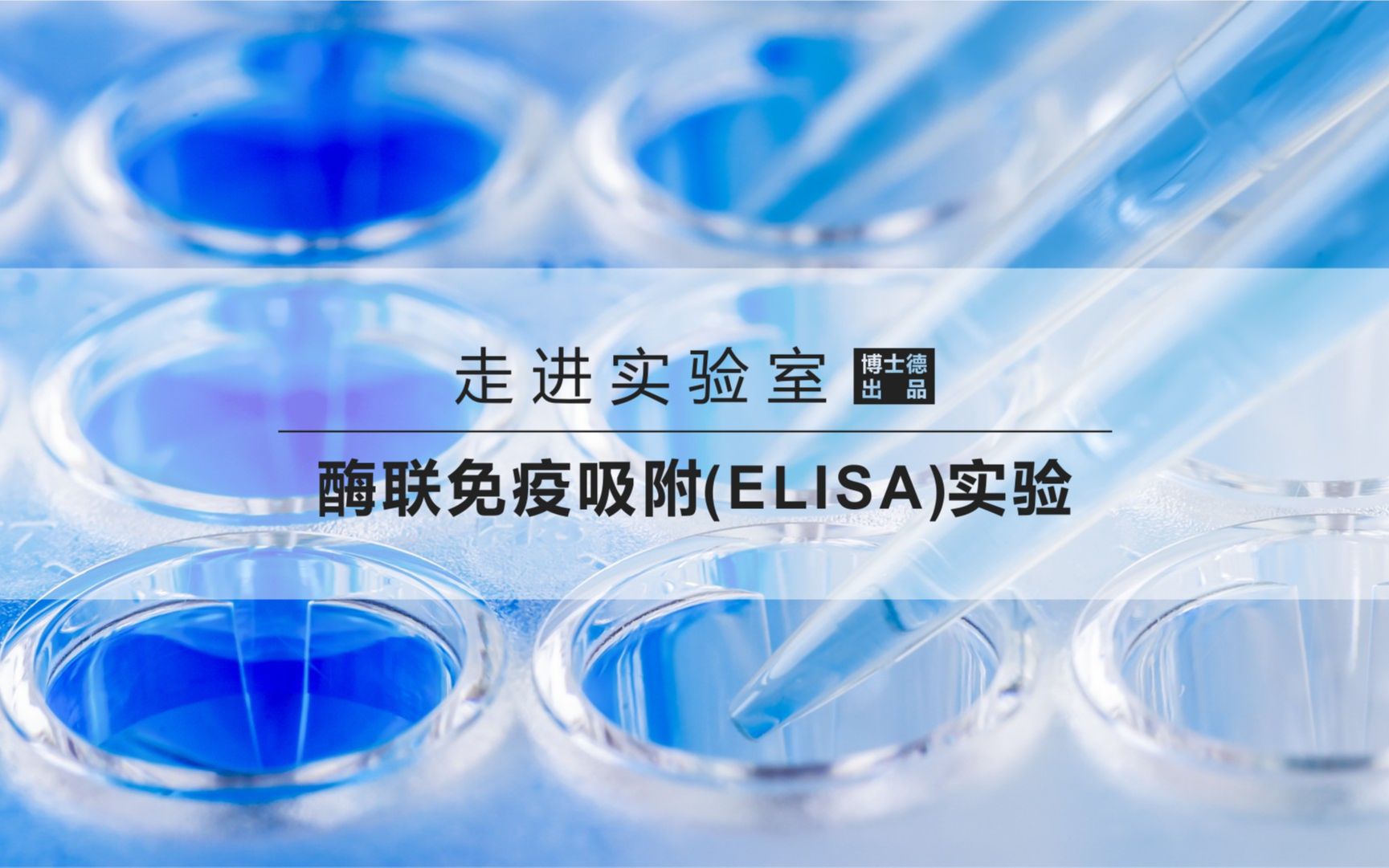 酶联免疫吸附试验 (ELISA)哔哩哔哩bilibili