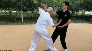 三皇炮捶拳―勇猛果敢な実戦拳 (中国の体育と健康シリーズ 28