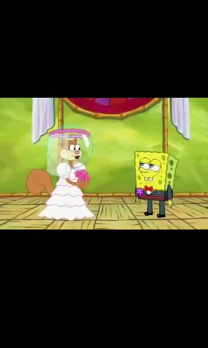 海绵宝宝和珊迪都结婚了,我还在单身!_哔哩哔哩_bilibili