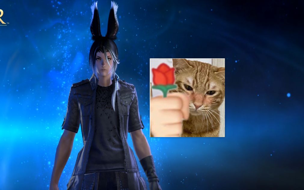 【ff14】1分钟速看6.0兔男种族动作,兔男嫁给我!