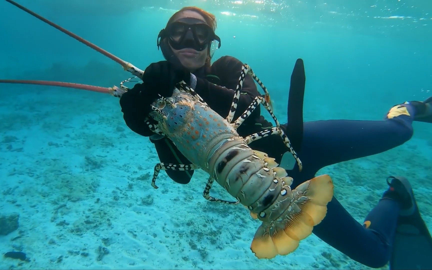 活動 情侶荒島露營,浮潛趕海抓獲帝王龍蝦,比女孩大腿還粗