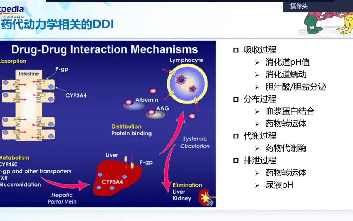 创新药物的体外药物相互作用研究哔哩哔哩bilibili