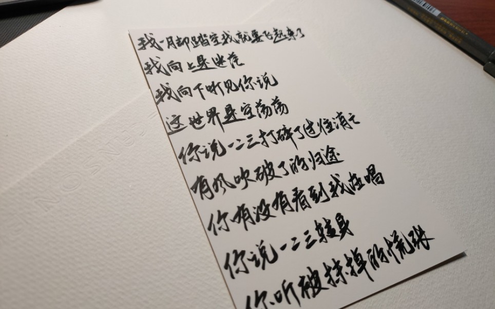 【手写】撒野歌词