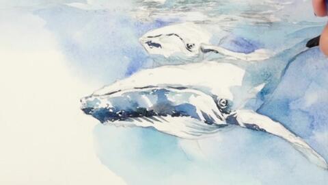 水彩】很少见到画鲸鱼的水彩吧？这次还是母子蓝鲸！很舒服！_哔哩哔哩_ 