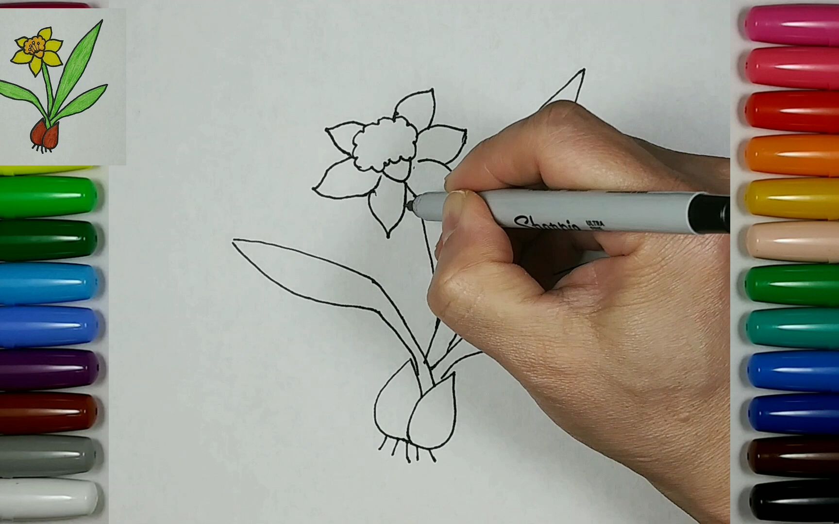 水仙花的画法简笔画图片