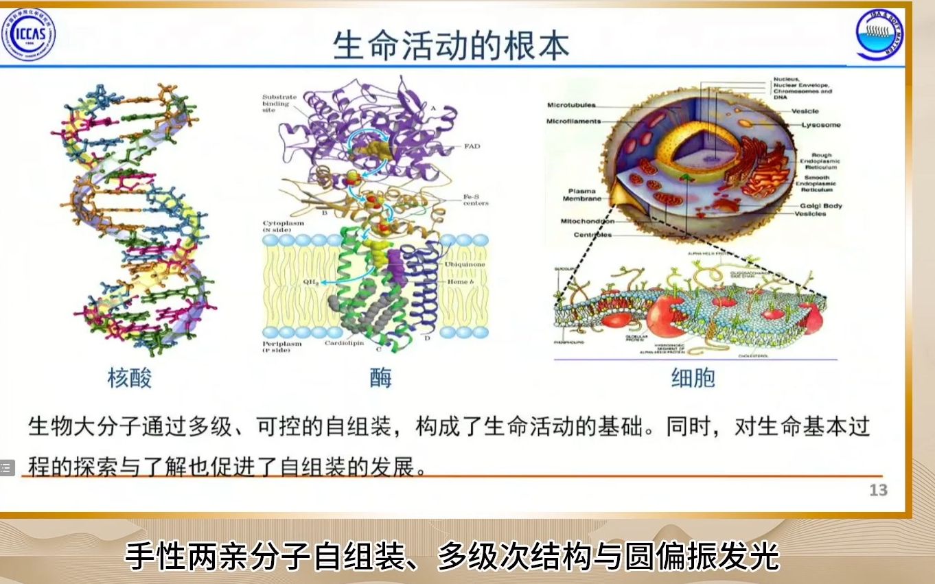 20220913中国科学院刘鸣华手性两亲分子自组装、多级次结构与圆偏振发光哔哩哔哩bilibili