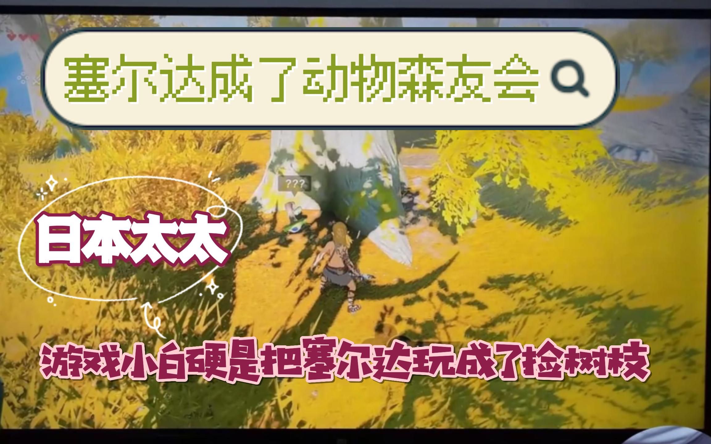 居住在中国的日本太太的日常生活第2集之:游戏小白硬是把塞尔达玩成了动森捡树枝-深居简出的日本太太-深居简出的日本太太-哔哩哔哩视频