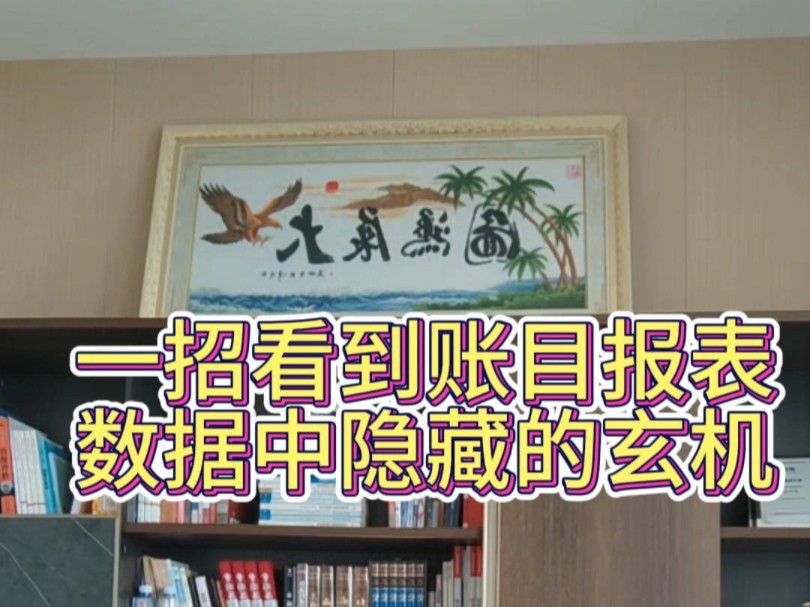 就一招秒懂账目报表上数字代表什么意思.#财务管理 #内账 #账有书流水记账软件哔哩哔哩bilibili