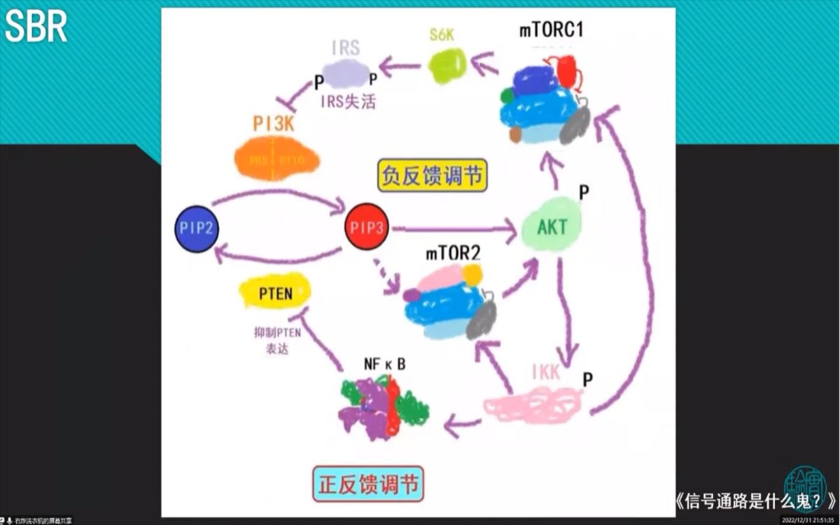 第二期(下) 5.385分的文章是怎么研究IL34促进巨噬细胞M2极化的呢……哔哩哔哩bilibili