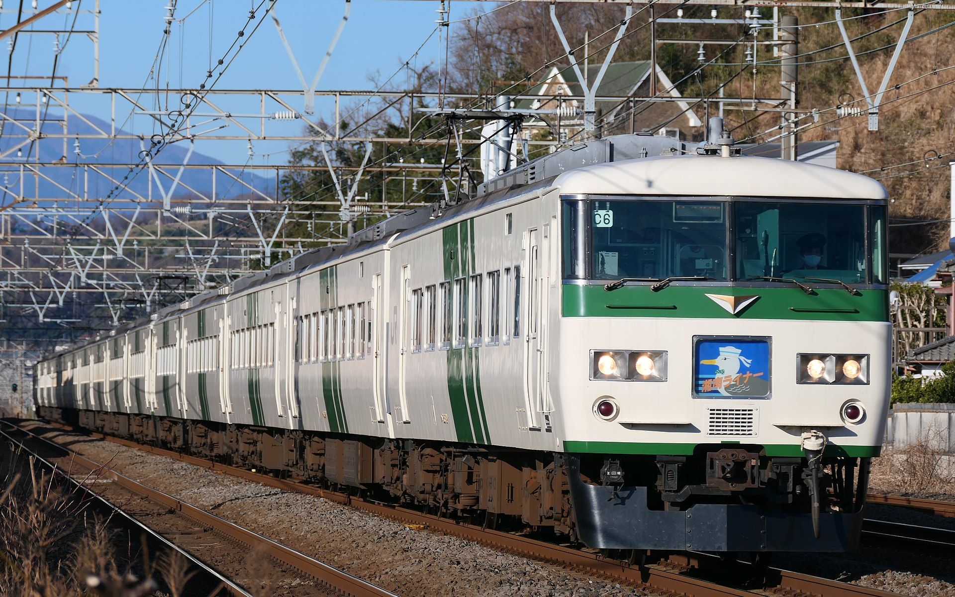 【jr东日本】首都圈最后的国铁特急-185系退役