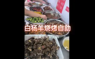 Download Video: 济南白杨羊烧烤自助