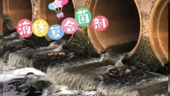 #上热门 液体复合菌剂投加在哪个池子？#液体复合菌剂#微生物菌种#污水处理#厌氧菌