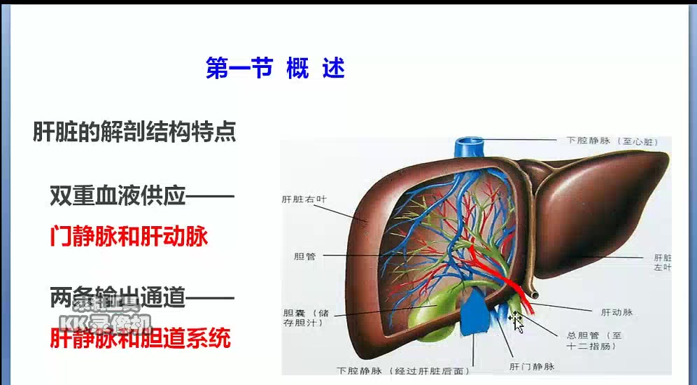 [图]生化 第十二章 肝胆疾病的生物化学检验