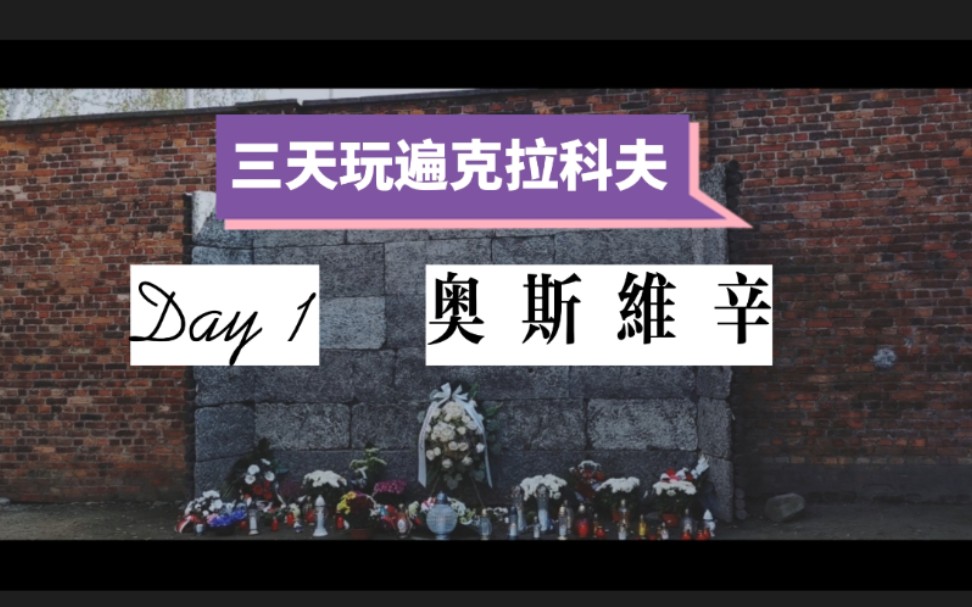 [图]【三天玩遍克拉科夫/DAY1：奥斯维辛集中营】