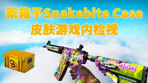 Csgo新武器箱snakebite Case新皮肤地图检视 Csgo Rushb中文网