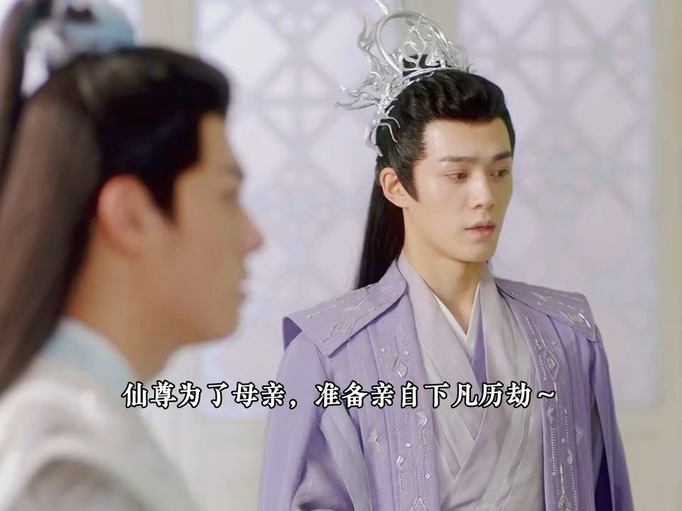 千年情劫:仙尊准备替母亲下凡历劫