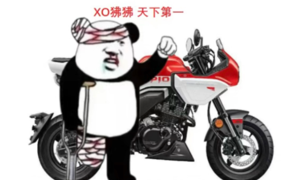 又是想买XO狒狒的一天哔哩哔哩bilibili