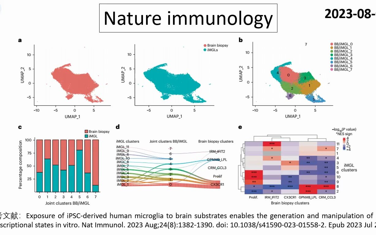 Nature immunology—科学家成功构建体外培养疾病相关小胶质细胞模型哔哩哔哩bilibili