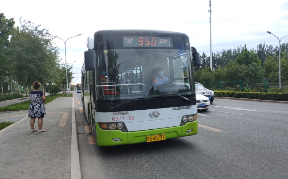北京公交983路2020图片
