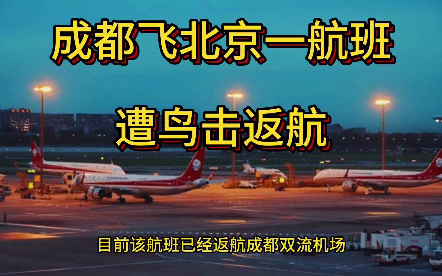 成都飞北京一航班遭鸟击返航 已降落成都双流机场