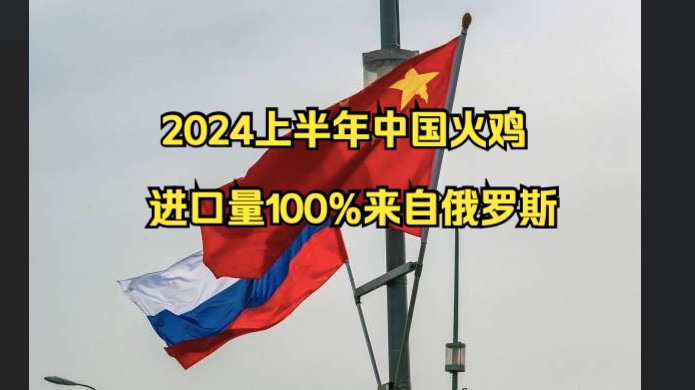 2024上半年中国火鸡进口量100%来自俄罗斯哔哩哔哩bilibili