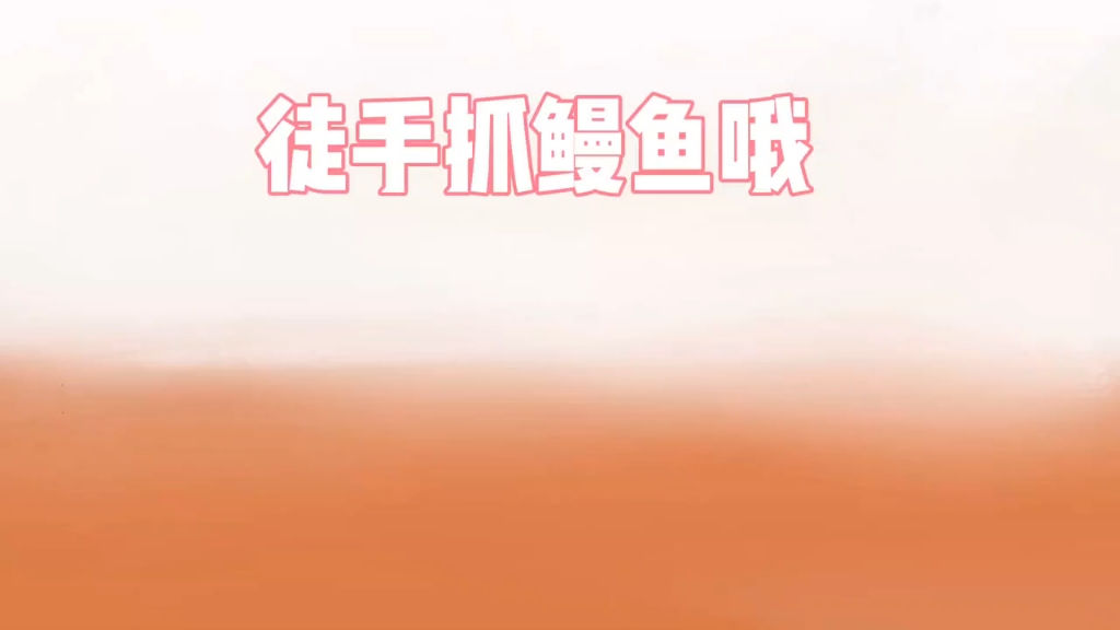 徒手抓鳗鱼哦哔哩哔哩bilibili