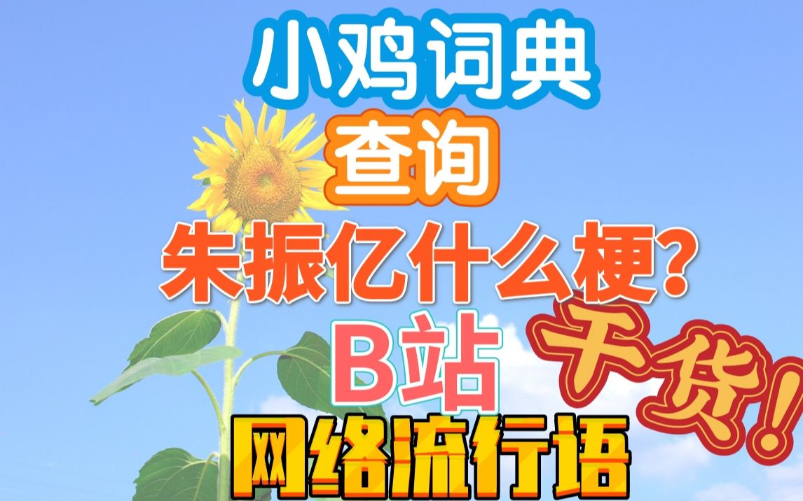 小鸡词典查询网络流行语(林北与朱振亿)_哔哩哔哩