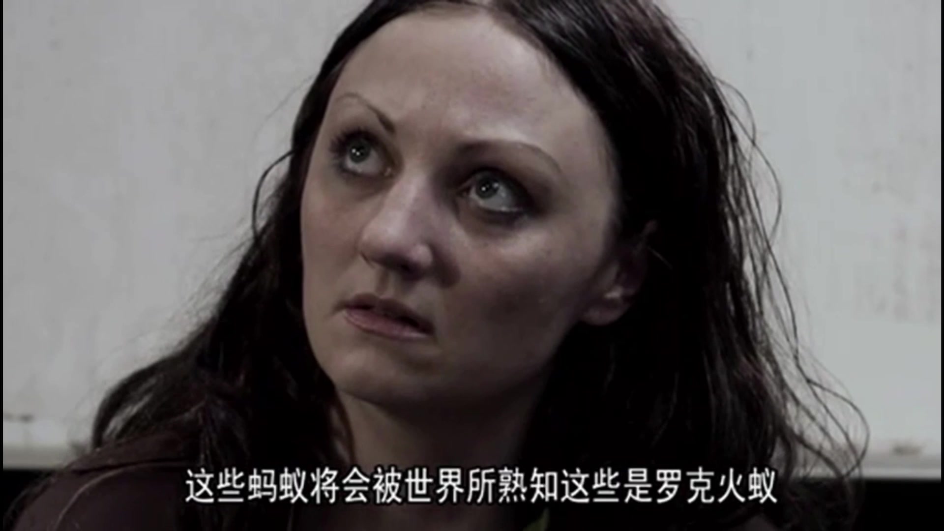 antkilleristerrible蚂蚁杀手太恐怖啦