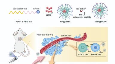 AI<em class="keyword">科研绘图</em>-你和<em class="keyword">绘图</em>能手的距离只差这个<em class="keyword">教程</em>。