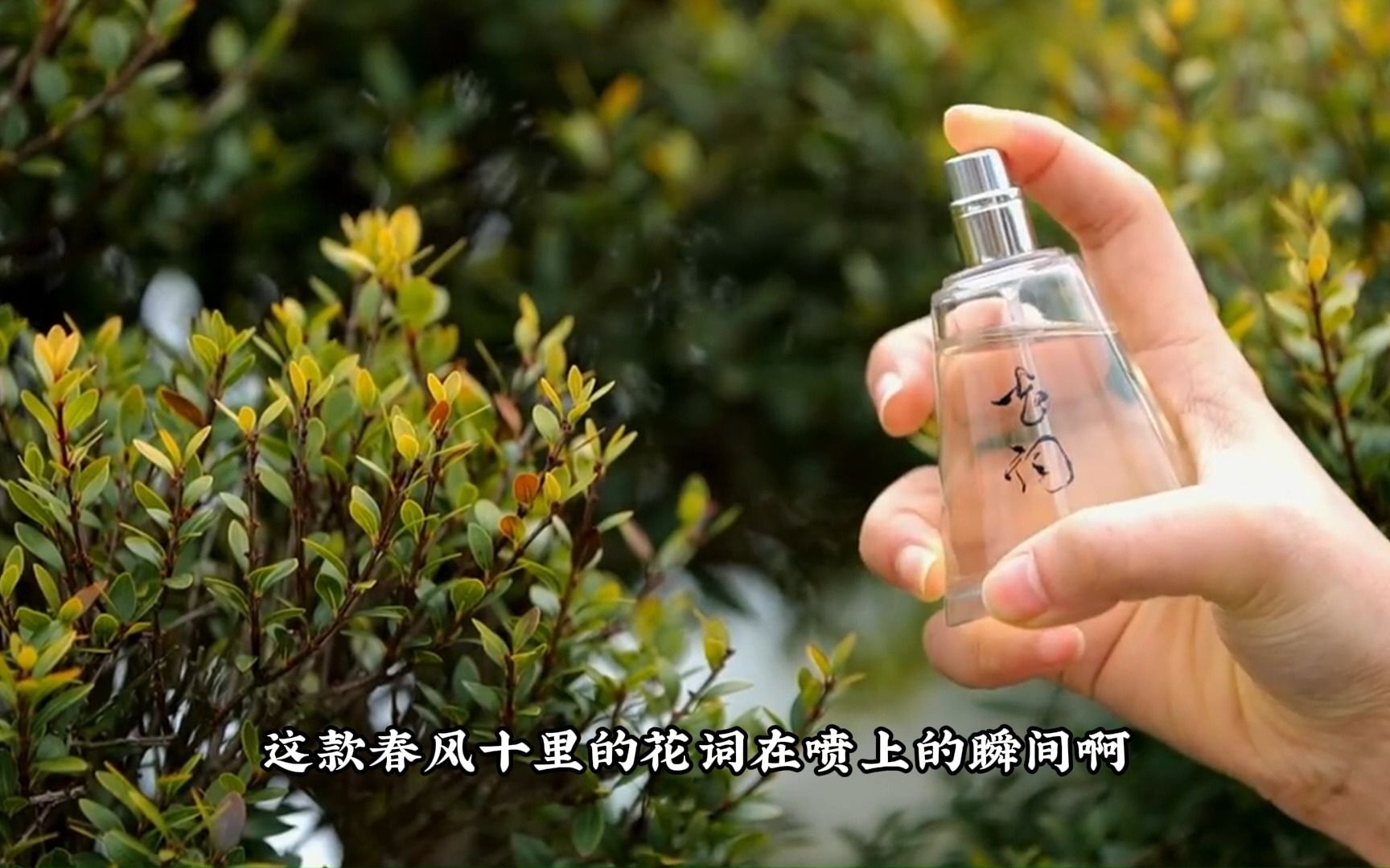 [图]春风十里花词，让你成为行走的栀子花！