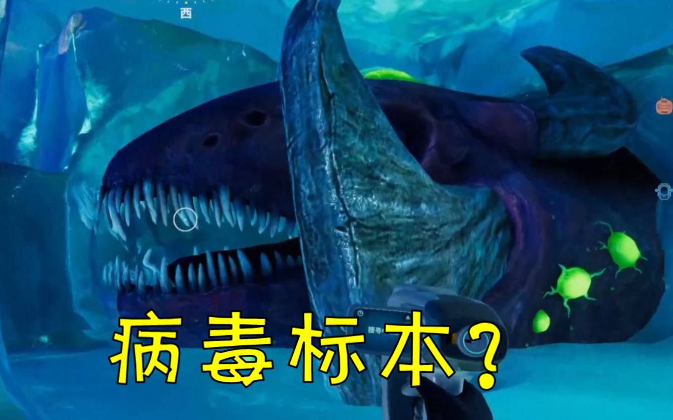 深海迷航零度之下冰封的史前巨兽ep11