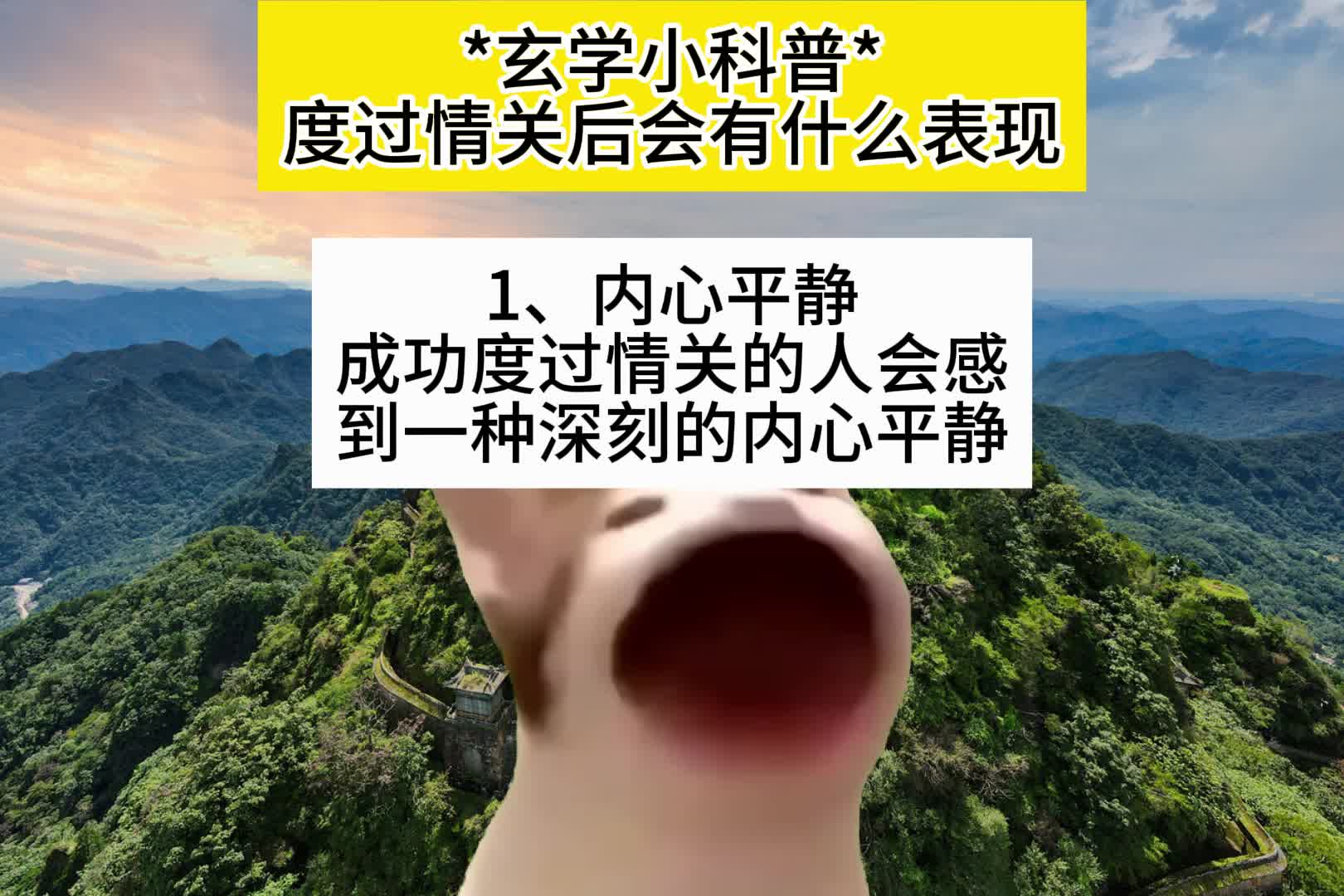 【猫meme】一个人情关过后,会有什么表现?哔哩哔哩bilibili